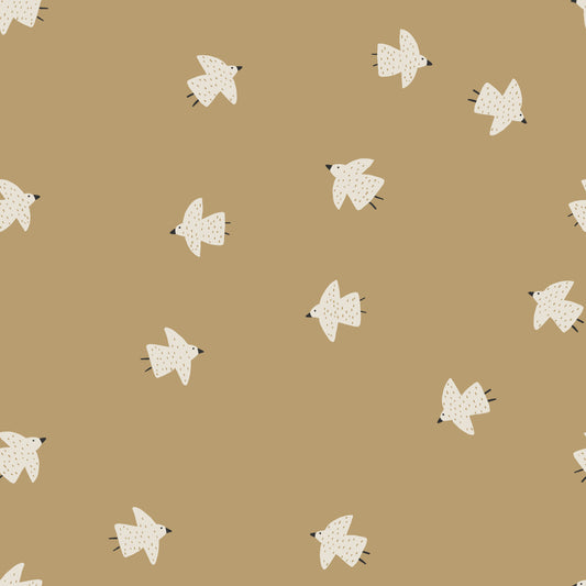 Jersey Birds Soft Khaki