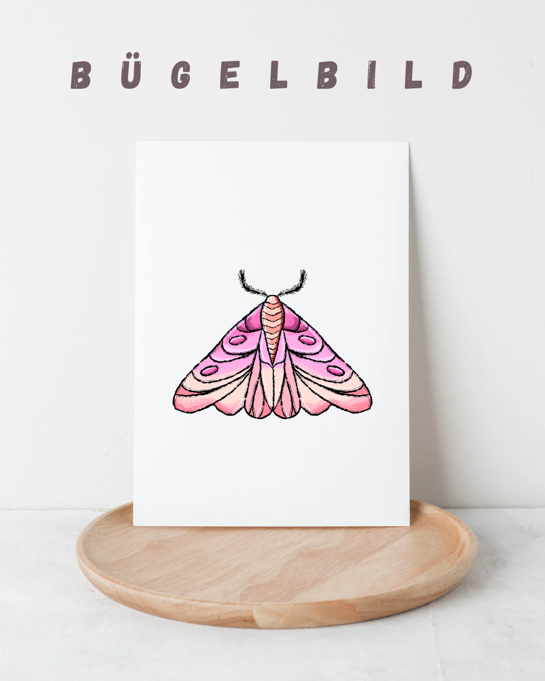 Bügelbild Motte Pink