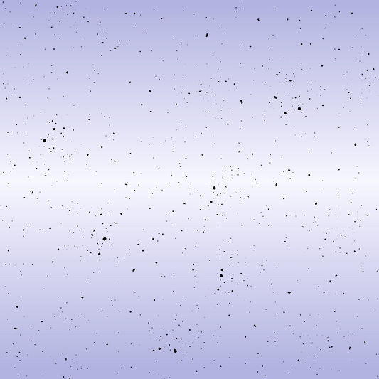 Bio French Terry Ballerina Rainbow Kombi  - Vorbestellung