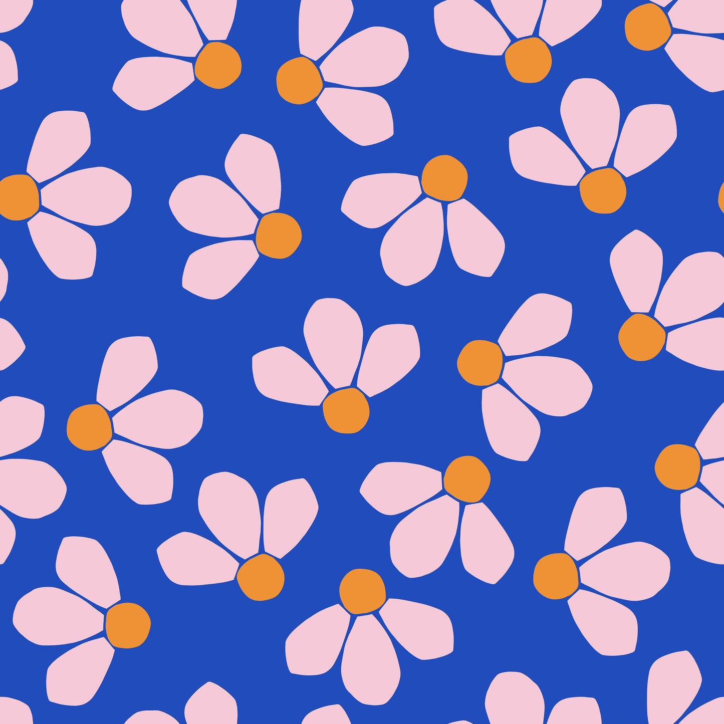 "Daisy" - Vorbestellung